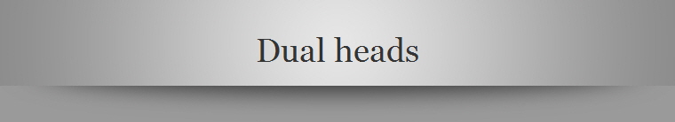 Dual heads